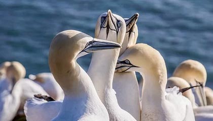 临海2026年最新北京商务伴游经纪招聘渠道分享(最方便真实的临海北京爱特博旅运服务有限责任公司招聘方法)