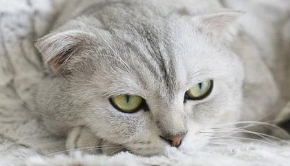 临海2026年最新北京商务伴游经纪招聘渠道分享(最方便真实的临海北京爱特博旅运服务有限责任公司招聘方法)