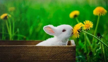 临海2026年最新北京商务伴游经纪招聘渠道分享(最方便真实的临海北京爱特博旅运服务有限责任公司招聘方法)